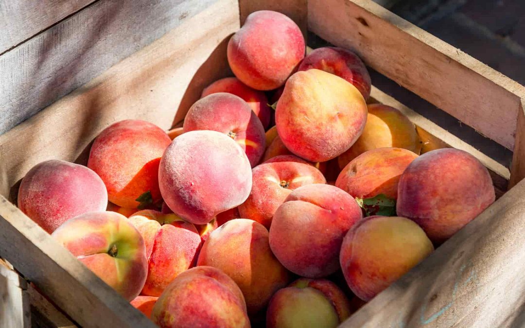 Peach
